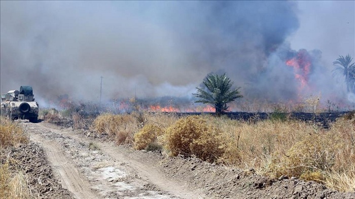 22 Daesh militants killed in Iraq